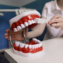 Профессиональная гигиена полости рта в стоматологии