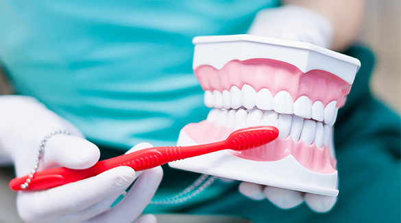 Стоматолог показывает, как правильно чистить зубы
